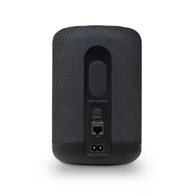 Bluesound Pulse Flex P130 in Geneva | Digistore.ch
